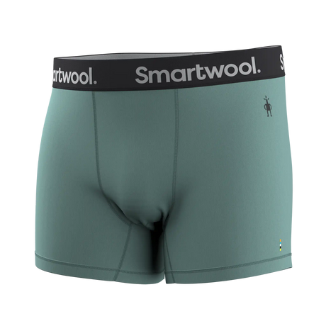 Smartwool caleçon boxeur en laine mérinos pour hommes - Sarcelle poussiéreux