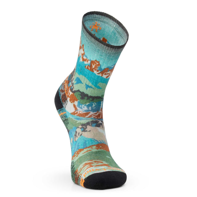 Smartwool Smartwool Hike Sentier Alpin chaussettes à matelassage léger pour homme
