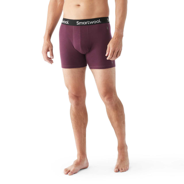 Smartwool Smartwool caleçon boxeur Merino de tous les jours pour homme