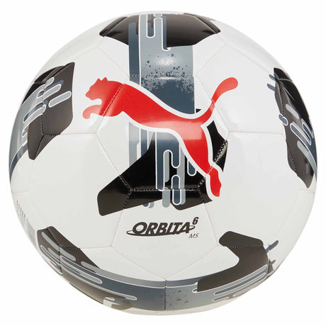 Soccer Sport Fitness Puma Orbita 6 MS ensemble de 6 ballons de soccer