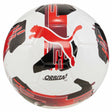Soccer Sport Fitness Puma Orbita 6 MS ensemble de 6 ballons de soccer