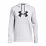Under Armour UA Armour Fleece Big Logo Hoodie chandail en molleton à capuche femme
