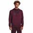 Under Armour Under Armour Fleece sweatshirt à capuche pour homme
