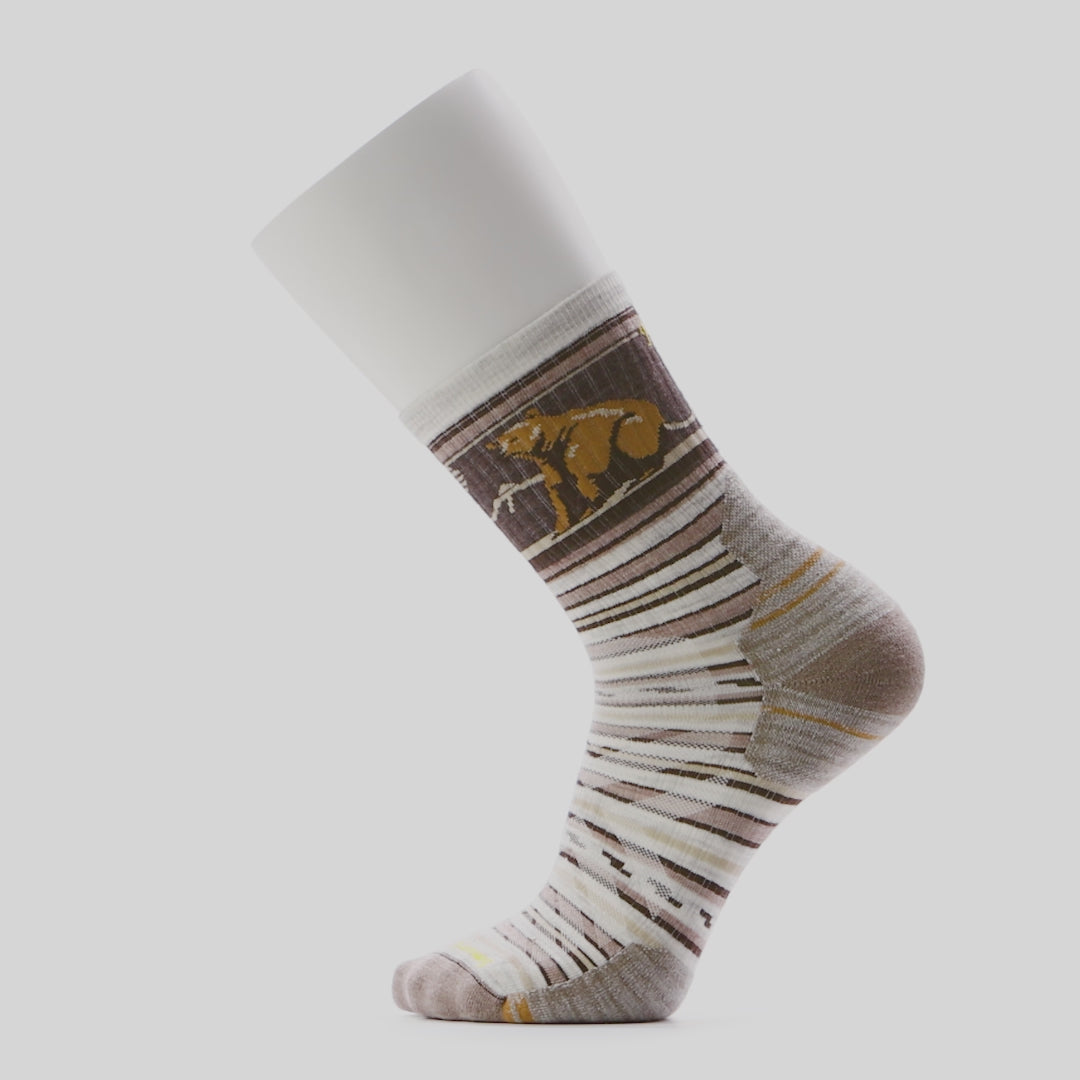 Smartwool mi-chaussette de randonnée rayée Bear pour homme live - Gris cendré
