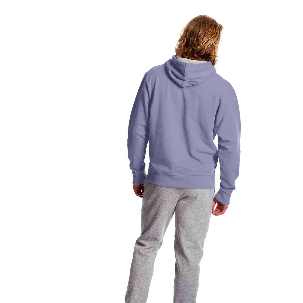 Champion Powerblend Graphic Hoodie sweatshirt a capuchon avec logo pour homme Land Ice vue de dos