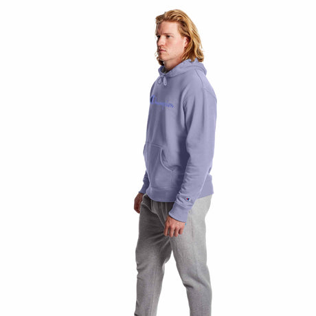 Champion Powerblend Graphic Hoodie sweatshirt a capuchon avec logo pour homme Land Ice angle