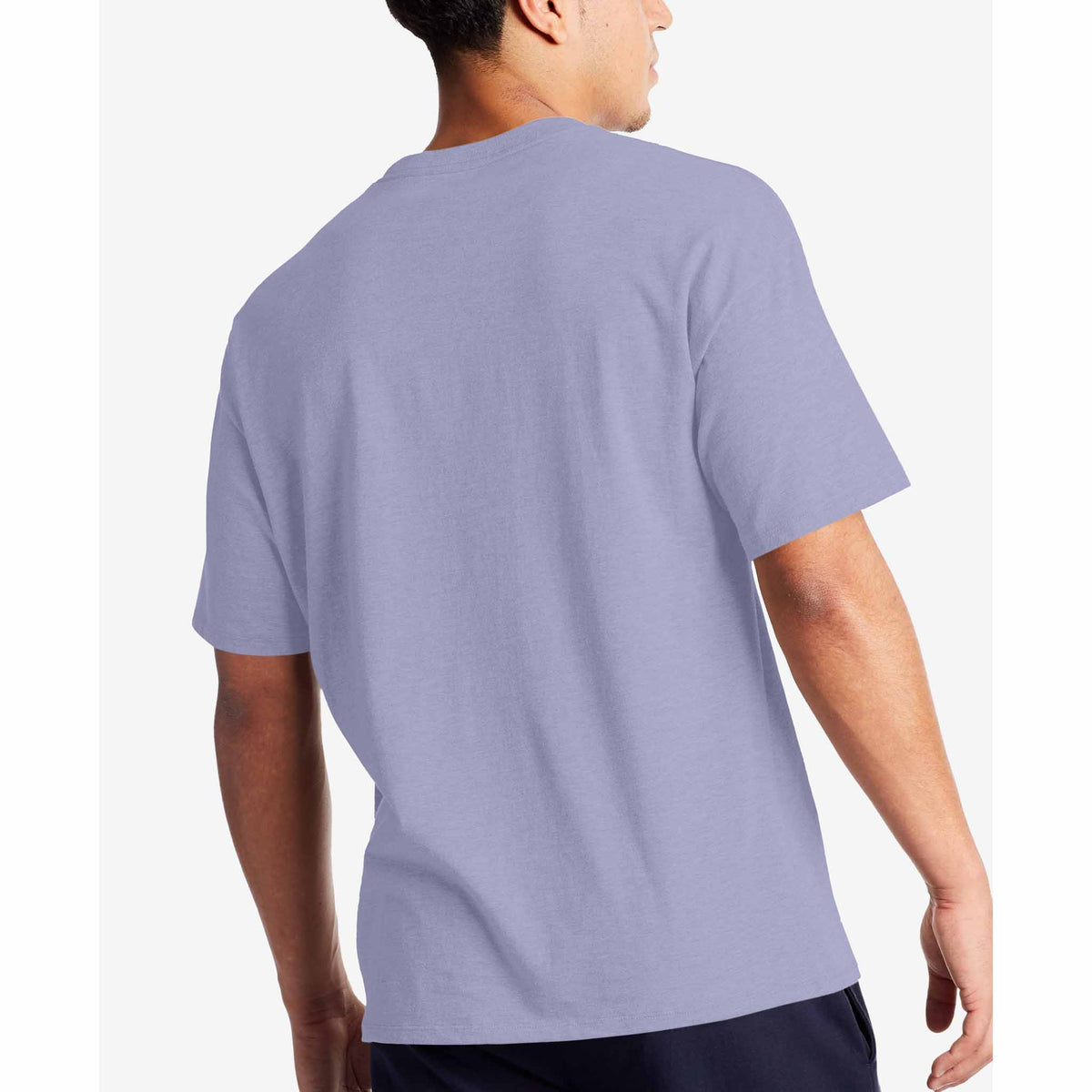 Champion Classic Graphic Tee t-shirt à manches courtes pour homme Land Ice vue de dos