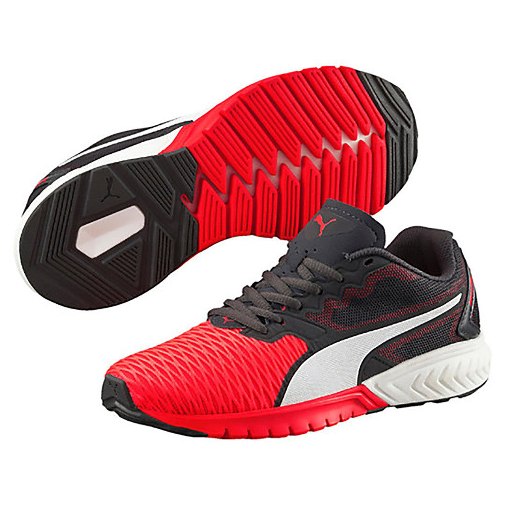 Ignite dual on sale