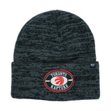 47 Brand 47 Brand Tuque a revers Newburgh NBA Toronto Raptors