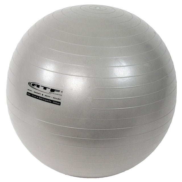 ATF ATF Pro ballon d'exercice et stabilité