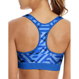Champion The Absolute Workout soutien-gorge sport surf the web dos
