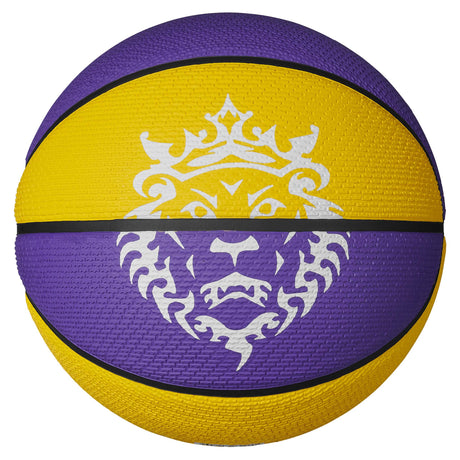 Nike Playground 8P 2.0 LeBron James ballon de basketball dos