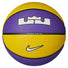 Nike Playground 8P 2.0 LeBron James ballon de basketball face