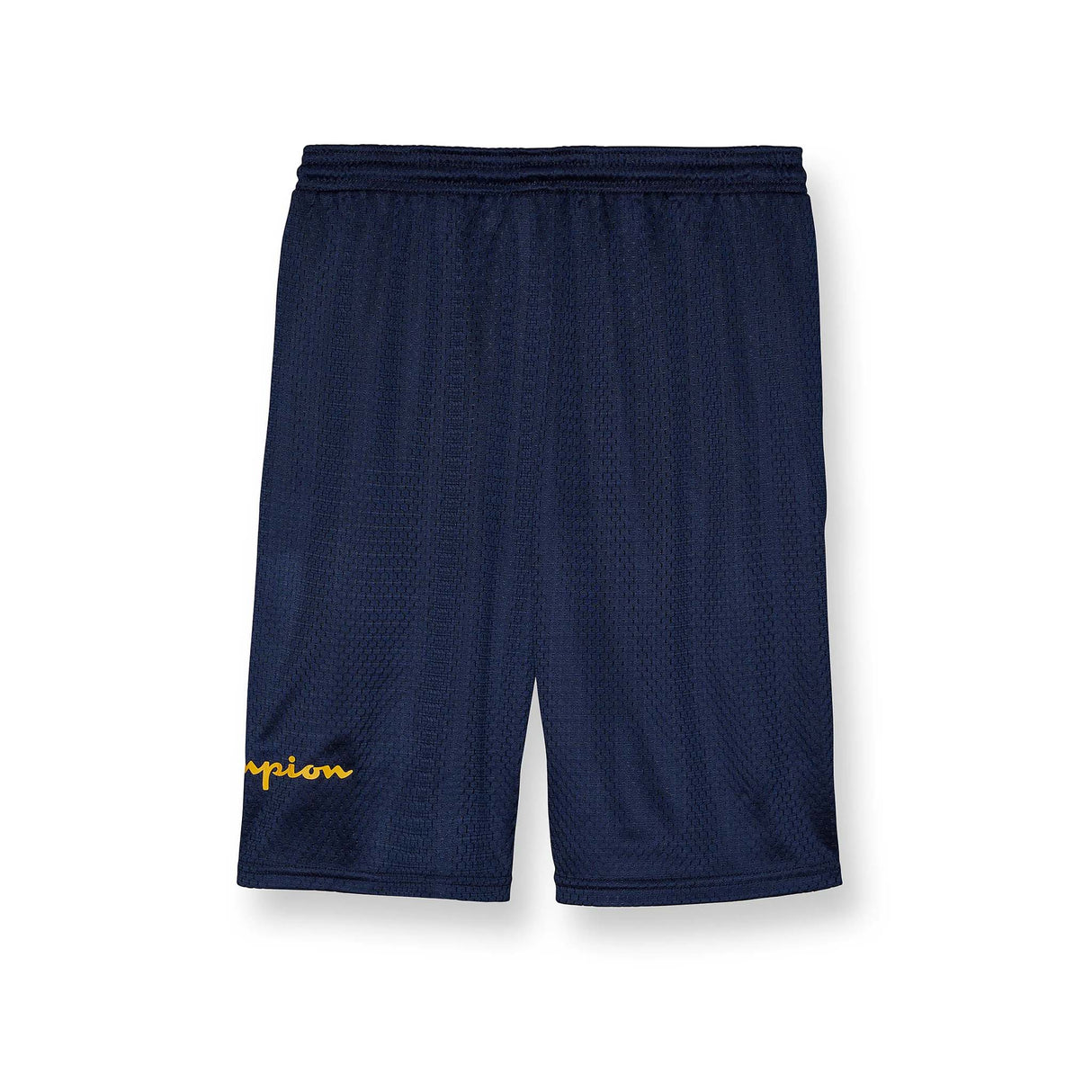 Champion Mesh short sport pour homme marine dos