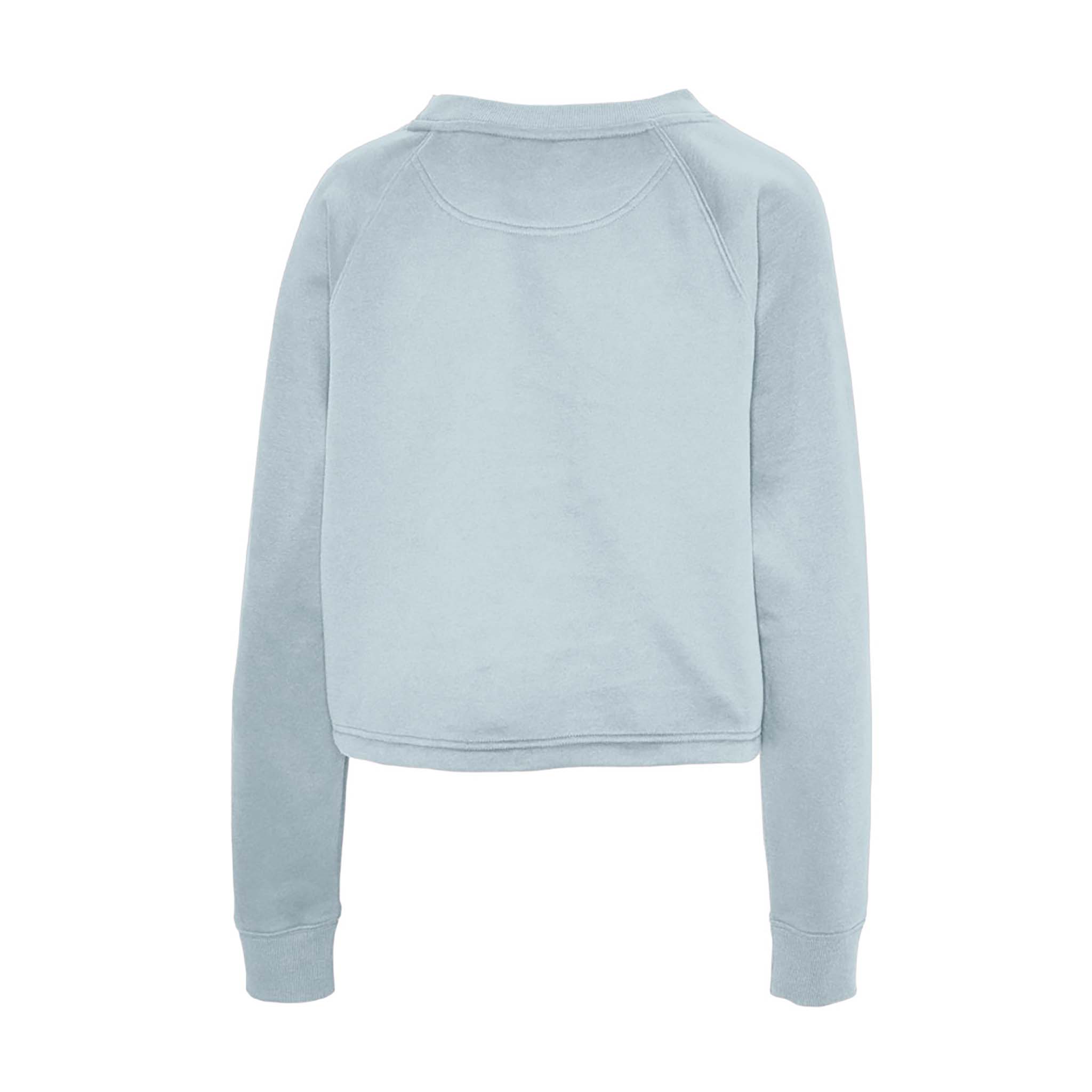Champion light discount blue sweater