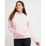 Champion Powerblend Hoodie chandail en molleton à capuche femme - Sheer Pale Pink