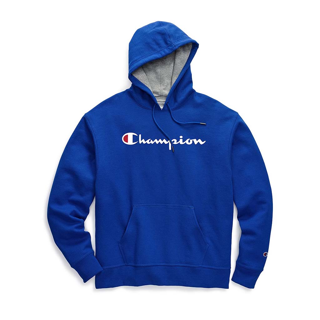 Champion Powerblend Graphic script logo hoodie surf the web