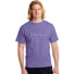 Champion Classic Jersey Script Logo T-shirt iris purple