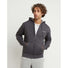 Champion Champion Powerblend Graphic Hoodie sweatshirt à capuche et à zip homme