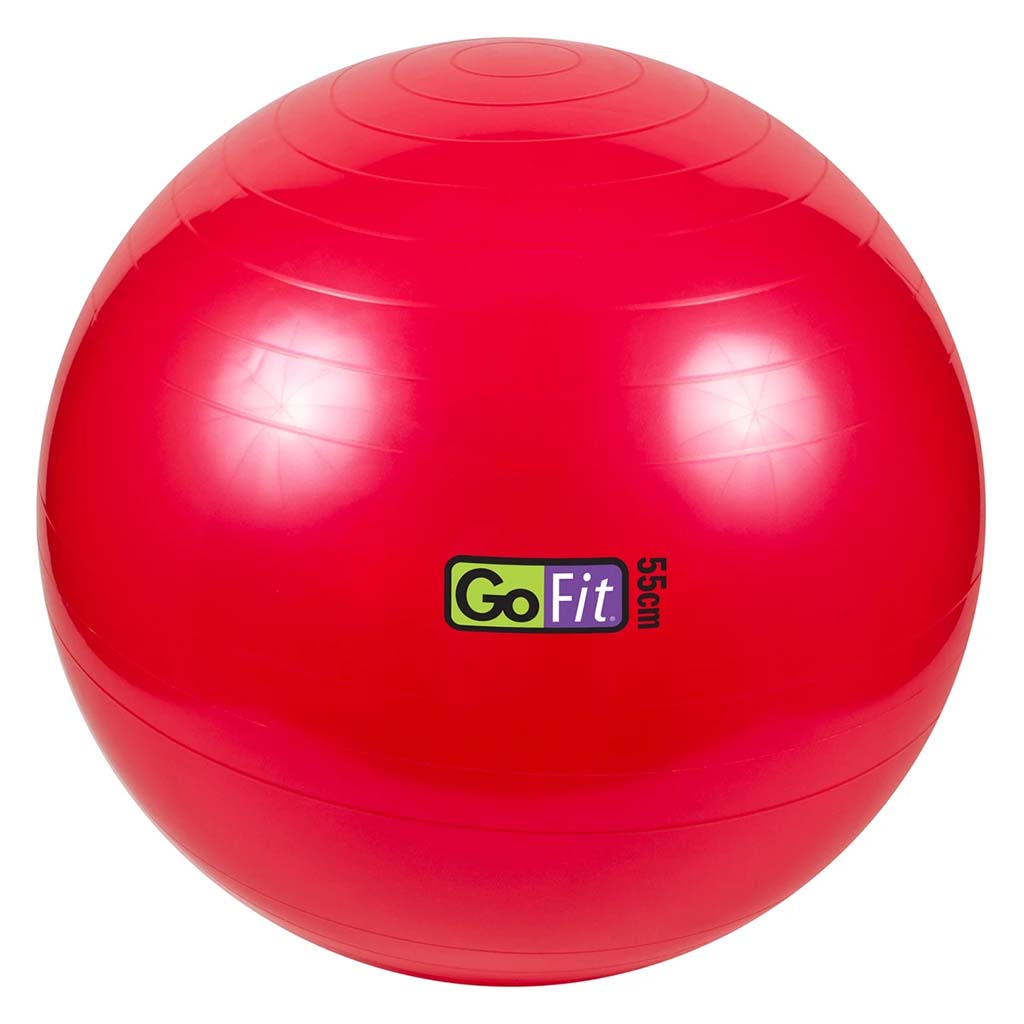 GoFit Ballons d'exercice de stabilité 55 cm