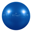GoFit GoFit Pro Stability ballon d'exercice et stabilité