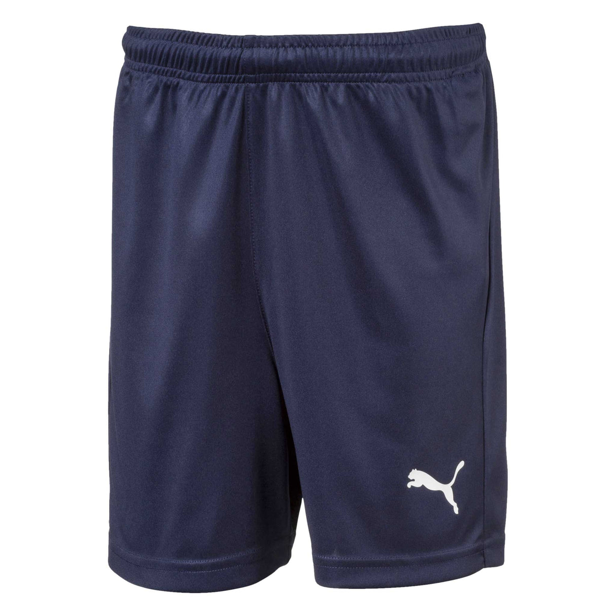 Puma Liga Core Junior Shorts de soccer Bleu Marine