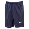 Puma Liga Core Junior Shorts de soccer Bleu Marine