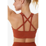 Lole Burst Up Bra soutien-gorge top de sport terracotta dos 2