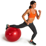 GoFit Pro Stability ballon d'exercice et stabilité lv1