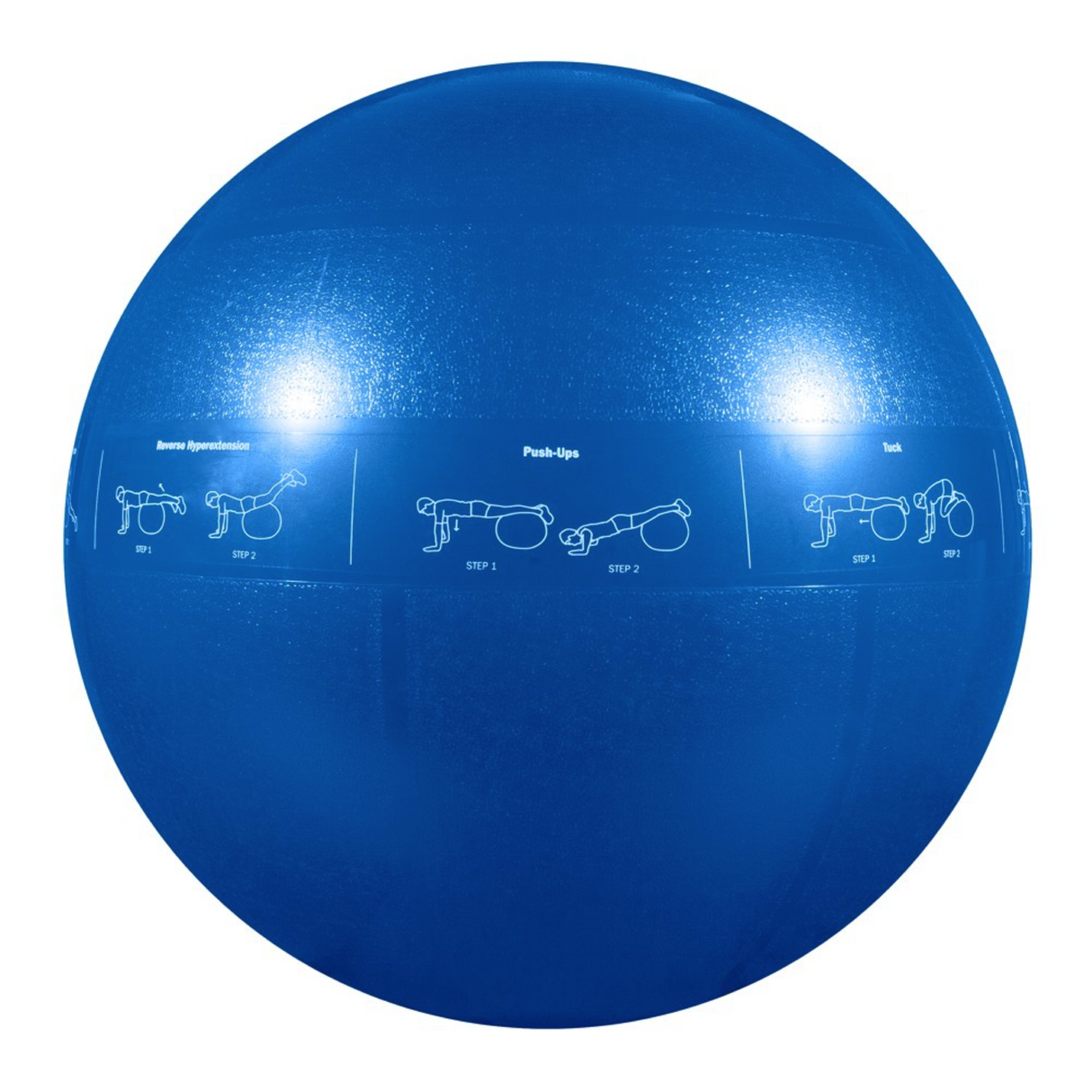 GoFit Pro Stability ballon d'exercice et stabilité bleu 55 cm