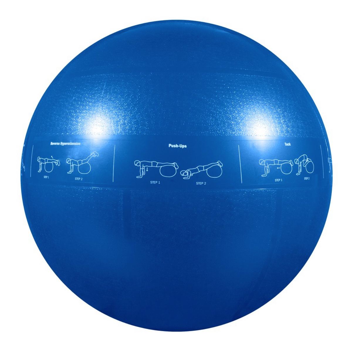 GoFit Pro Stability ballon d&#39;exercice et stabilité bleu 55 cm