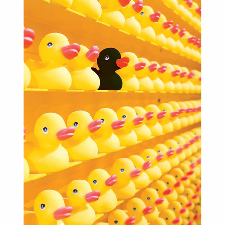 Pullin Boxer pour homme Pullin Fashion 2 Coincoin