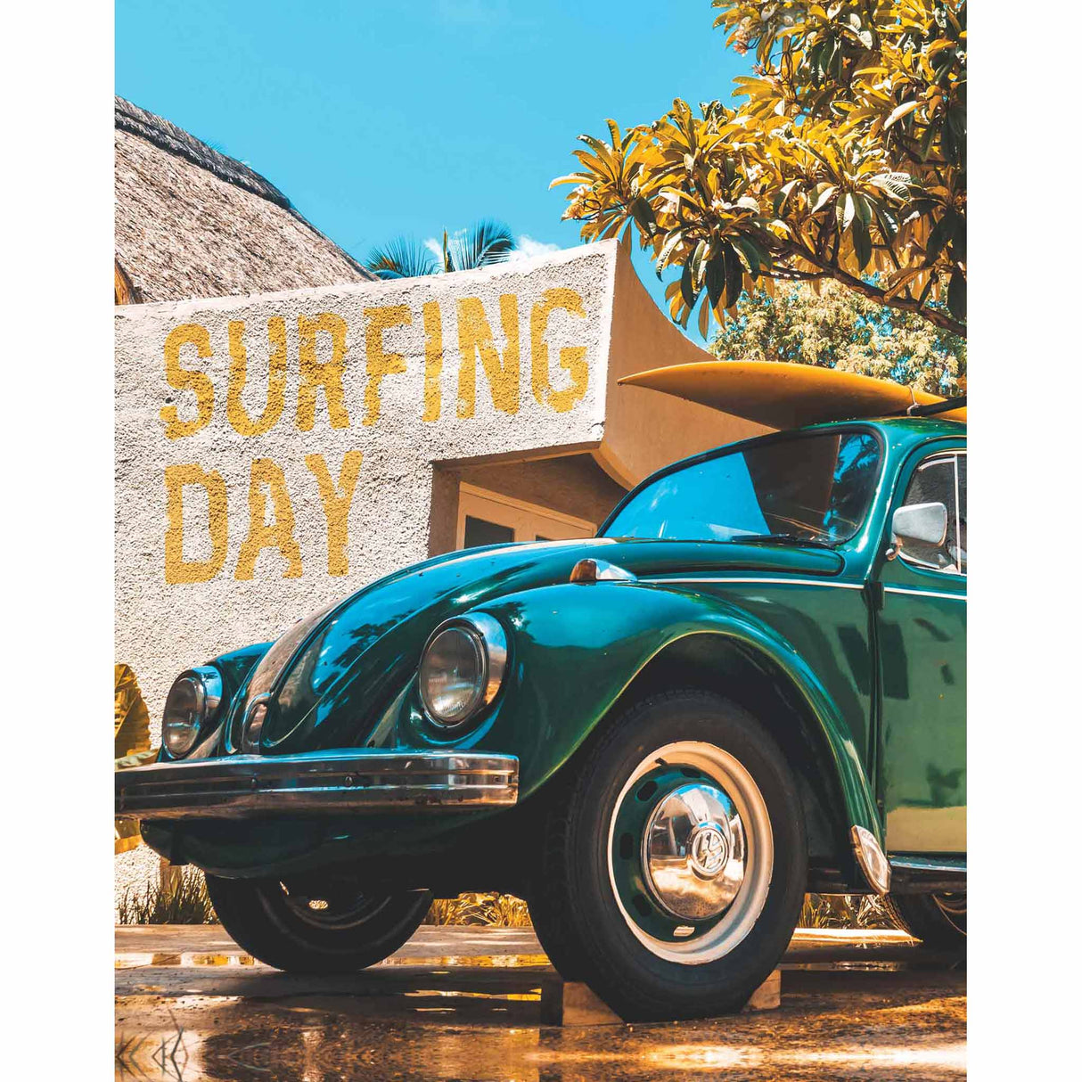 Pullin Boxer pour homme Pullin Fashion 2 Surfingday