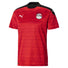 Maillots de soccer Puma Egypte EGY domicile 2020-21