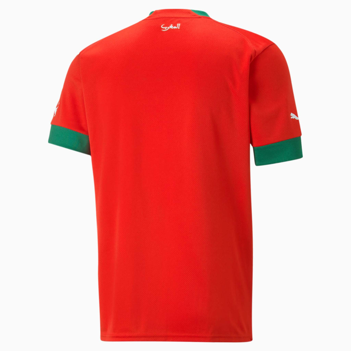 Puma Maroc FRMF maillot de soccer domicile 2022-23 Lions de l'Atlas rouge vert dos