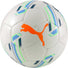 Puma Futsal 1 Trainer MS Ball ballon de soccer interieur - Blanc / Bleu