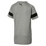 Puma Puma Active Training Energy T-shirt homme à manches raglan