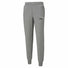Puma Puma Essential+ 2 Colour Logo TR sweatpant sport pour homme