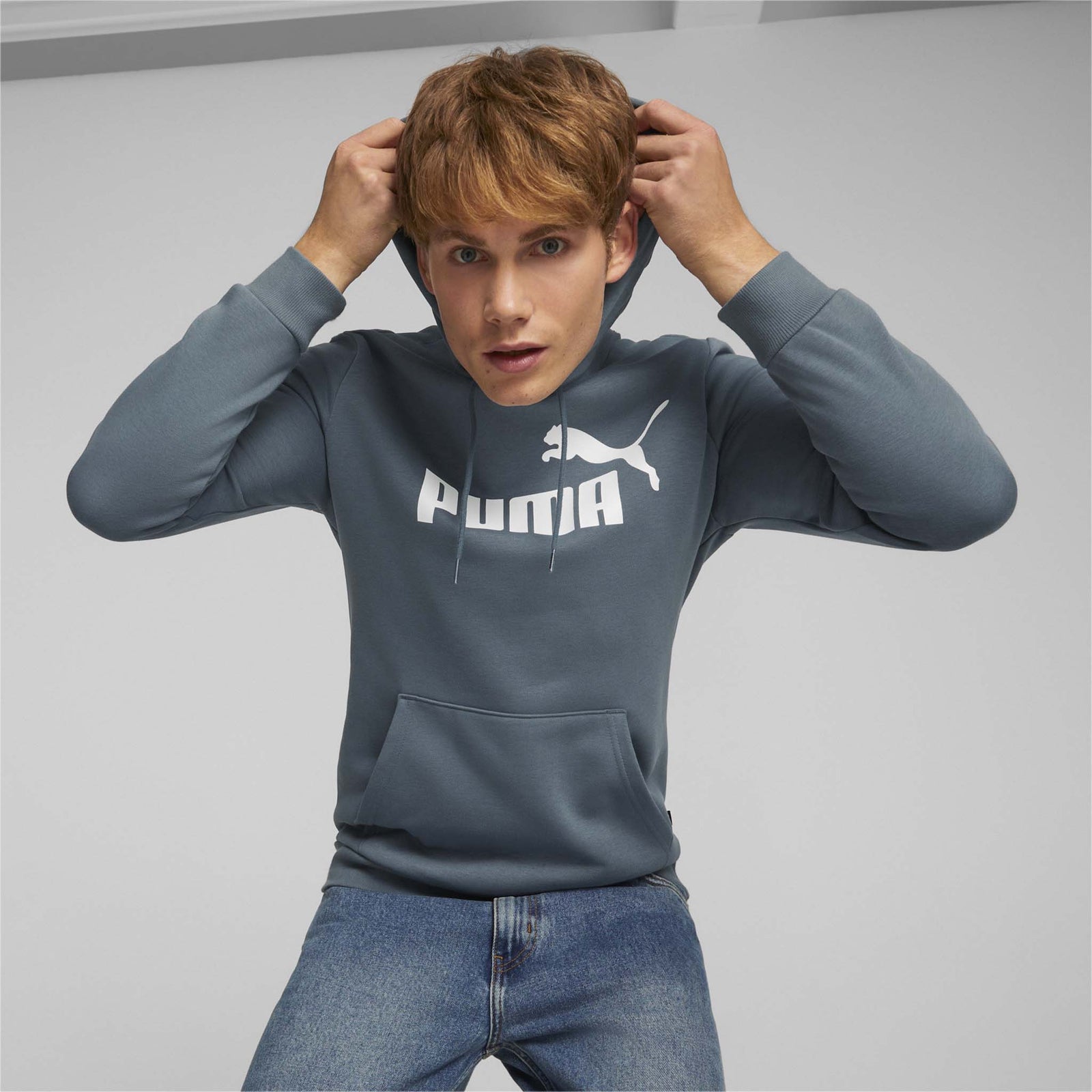 Puma Puma Essential Big Logo Hoodie FL sweatshirt à capuchon molletonné pour homme