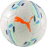 Puma Puma Futsal 1 Trainer MS Ball ballon de soccer interieur