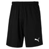 Puma Puma Liga Training Shorts de soccer