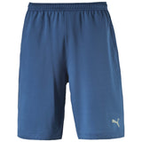 Puma Puma Shorts Cool Sweat 10-pouces pour homme