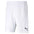 Puma Puma TEAMRise shorts de soccer enfant et adulte