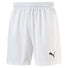 Puma Puma Team Short de soccer