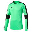 Puma Puma Triumphant GK chandail de gardien de soccer enfant et adulte