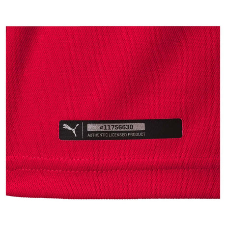 Puma Serbie domicile maillot de soccer junior Coupe du Monde 2018 cu