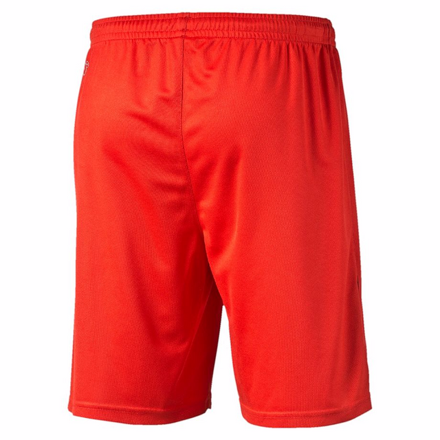 Puma Short de soccer PUMA Training