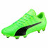 Puma evoPower Vigor 3 Lth FG chaussures de soccer