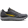 Saucony Peregrine 12 GTX running homme shadow vizi