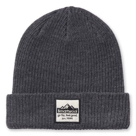 Tuque de style beanie à écusson Smartwool unisexe gris